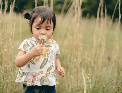 Toddler Sleep Help